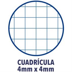 RECAMBIO 4A PARA CARPETA CUADRICULA 4X4 120H