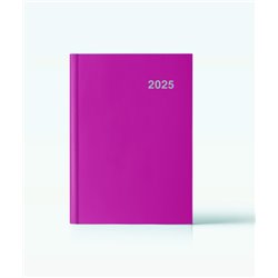 AGENDA 2025 PARIS DIA/PAGINA 15X21 FUCSIA CATALAN INGRAF 355423