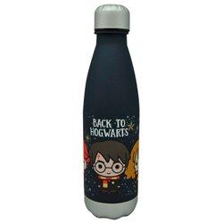 Botella Back to Hogwarts Harry Potter 650ml