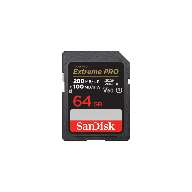 SanDisk SDSDXEP-064G-GN4IN memoria flash 64 GB SDXC UHS-II Clase 10