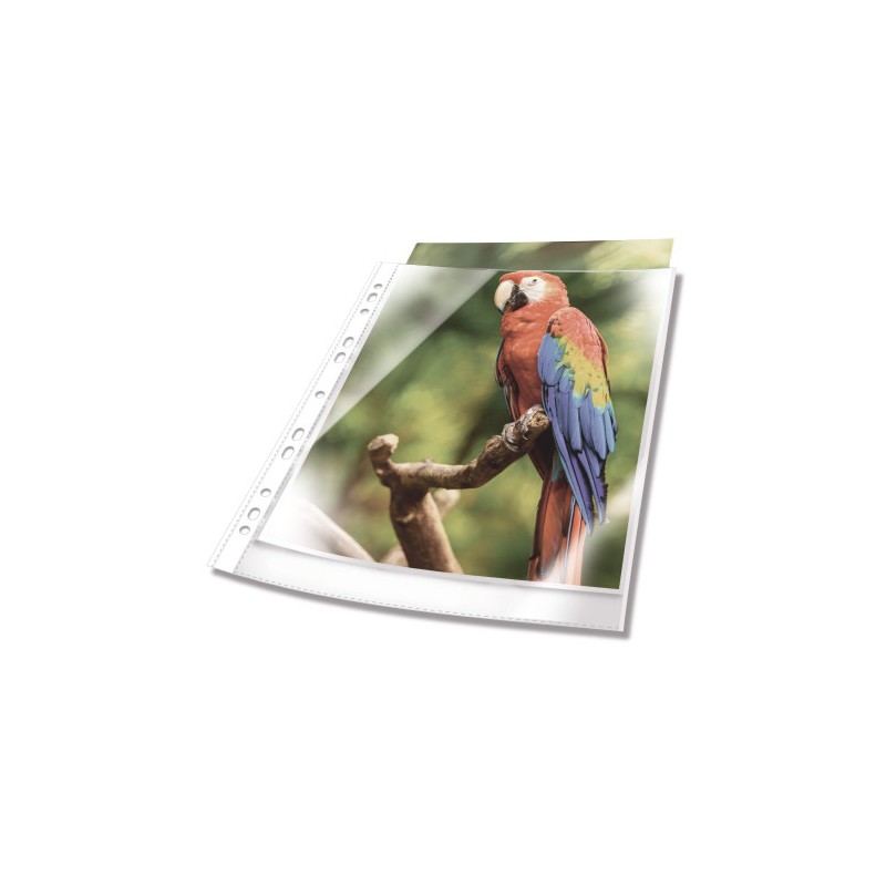 Durable 265502 protector de hojas A4 Polipropileno (PP) 25 pieza(s)