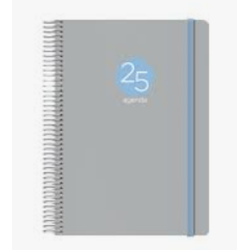 AGENDA 2025 MEMPHIS DÍA PÁGINA 15 X 21 CM MODELO GRIS DOHE 12689 - 25