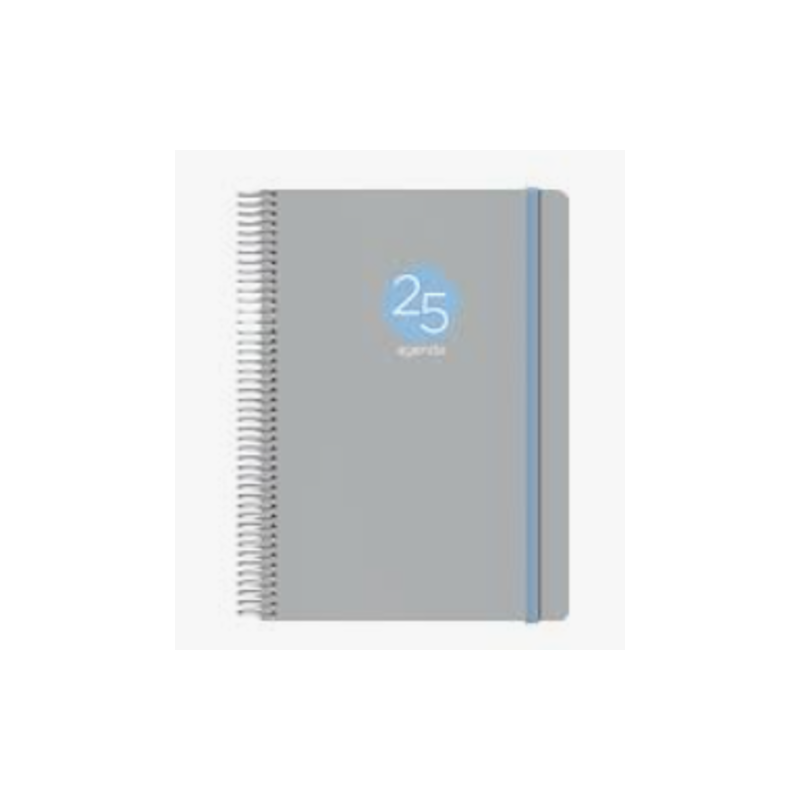 AGENDA 2025 MEMPHIS DÍA PÁGINA 15 X 21 CM MODELO GRIS DOHE 12689 - 25