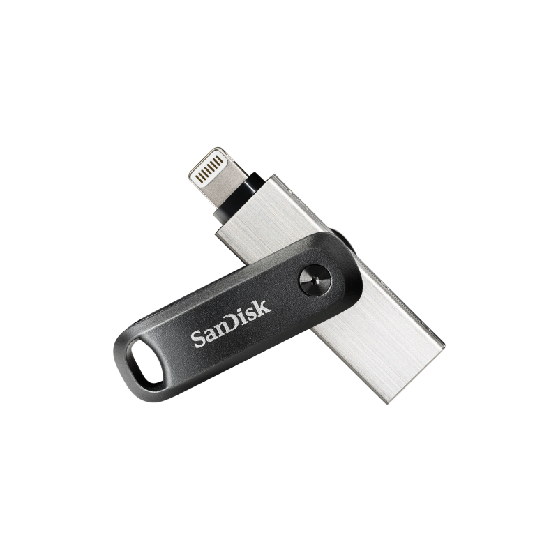 SanDisk SDIX60N-256G-GN6NE unidad flash USB 256 GB 3.2 Gen 1 (3.1 Gen 1) Gris, Plata
