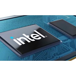 INTEL PROCESSOR 300 2 CORES (2 P-CORES + 0 E-CORES) UP TO 3.9 GHZ SOP. GRAFICO BX80715300 99CG5K