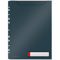 P-3 FUNDA PRIV. COSY GRAN CAPACIDAD GRIS LEITZ 46680089