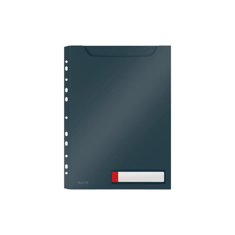 P-3 FUNDA PRIV. COSY GRAN CAPACIDAD GRIS LEITZ 46680089