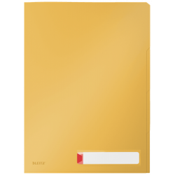 P-3 DOSSIER PRIV. C/SEP. COSY AMARILLO LEITZ 47160019