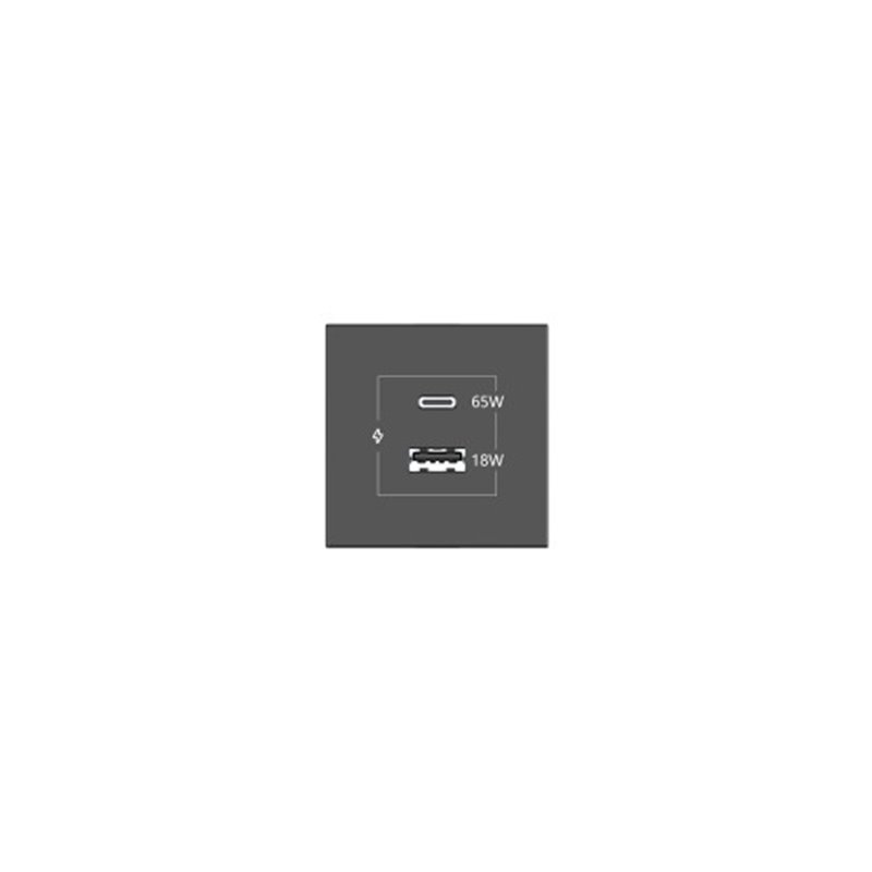 KRAMER CONNECT - ROOM CONNECTIVITY BLACK USBC 65W PORT AND U