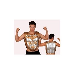 SOL. ARMADURA ROMANO 2 PARTES