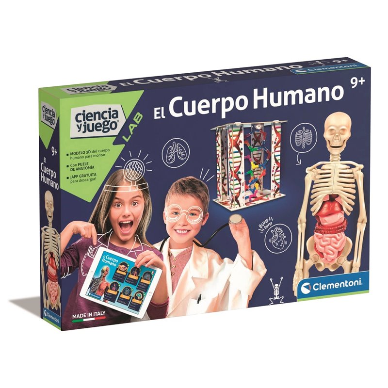 EL  CUERPO HUMANO