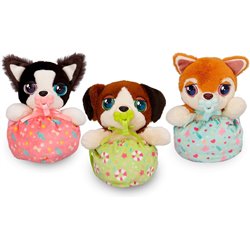 MINI BABY PAWS SURTIDOS