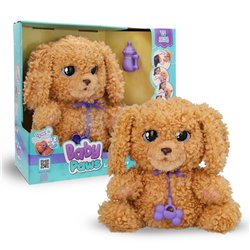 BABY PAWS LOVE & CARE LABRADOODLE
