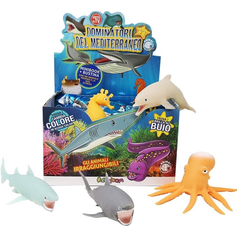 DISPLAY 12 DOMINADORES DEL MEDITERRANEO