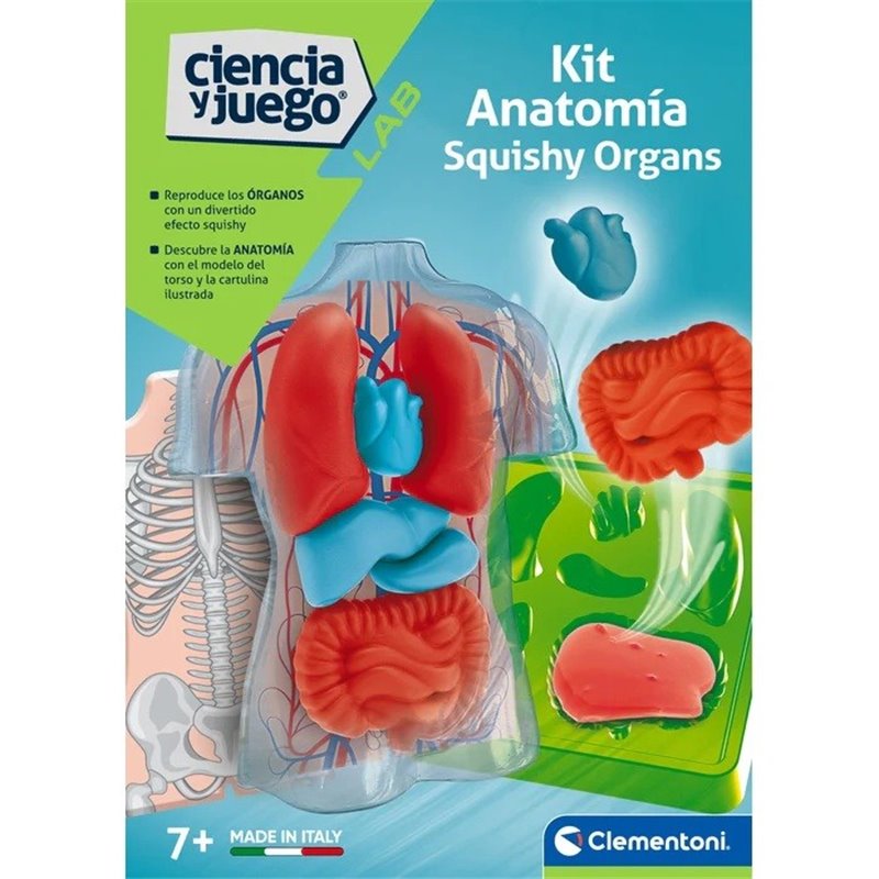 KIT ANATOMIA - SQUISHY ORGANOS
