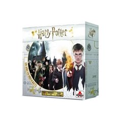 HARRY POTTER UN AÑO EN HOWARTS