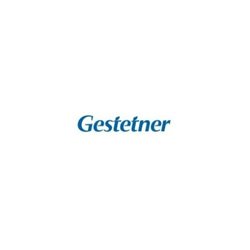 ORIGINAL GESTETNER TAMBOR LASER NEGRO DMR/22/27 PMR/27/32/3222/3227 P/7027/7032 [PAG-60000]