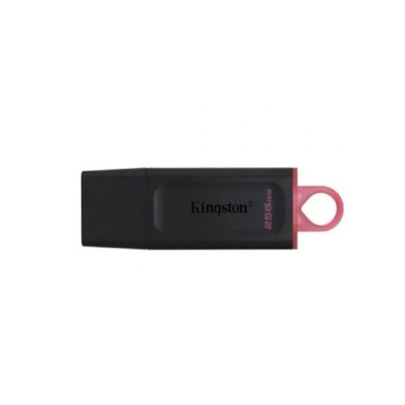 Pendrive KINGSTON DataTraveler DTX/256GB - 256GB · USB 3.2 · Negro/Rosa