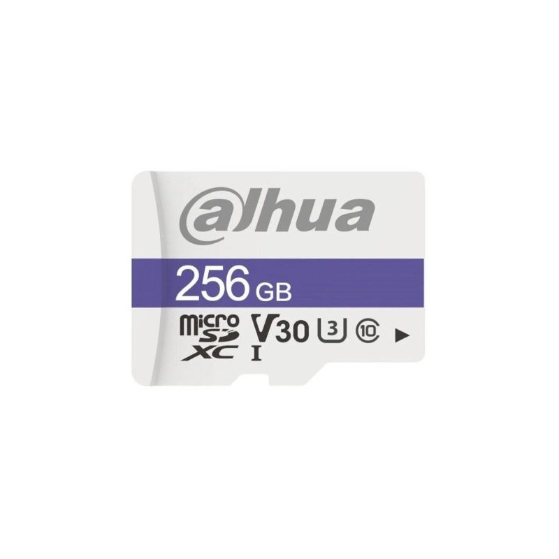 Tarjeta de Memoria DAHUA 1.0.99.80.10175 - 256GB · Clase 10