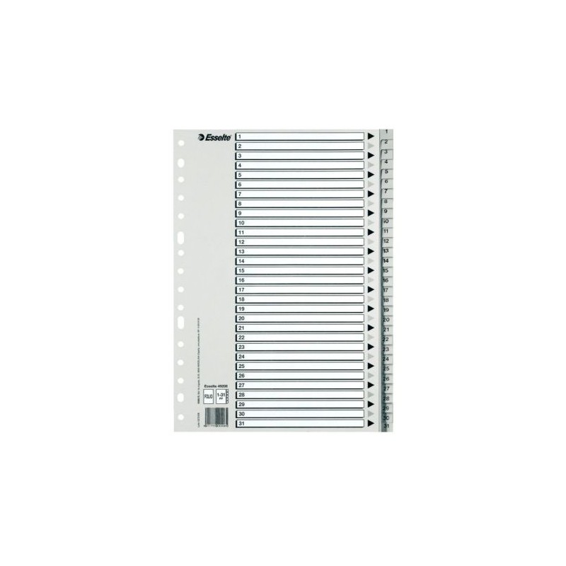 Índice Númerico de Archivador ESSELTE 49210 - A4 · 31 Unidades · Gris