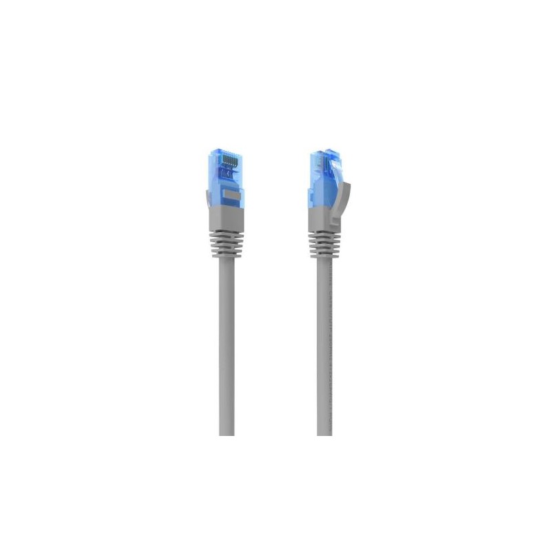 Cable de Red Latiguillo RJ45 SFTP Cat.6 - 0,5m · Gris