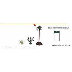 PALMERA+PITA+CHUMBERA