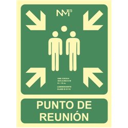 SEÑAL "PUNTO DE REUNIÓN" 224X300 PVC VERDE ARCHIVO 2000 6170-07H VE