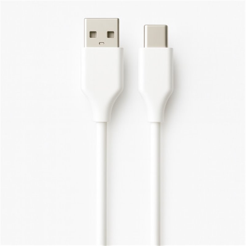 Ewent EC1133 cable USB USB 2.0 2 m USB A USB C Blanco