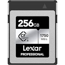 LEXAR 256GB PROFESSIONAL CFEXPRESS TYPE B CARD SILVER, UP TO 1750MB/S READ 1300MB/S WRITE