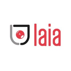 LAIA SOPORTE UNIVERSAL DE PARED DE HIERRO NEGRO GALVANIZADO (SWM)