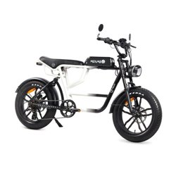 YOUIN E-BIKE URBAN STYLE FAT 2
