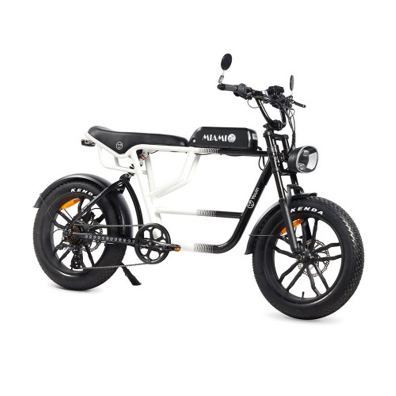 YOUIN E-BIKE URBAN STYLE FAT 2