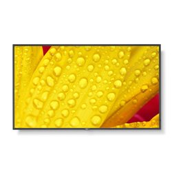 NEC MultiSync ME551 Pantalla plana para señalización digital 139,7 cm (55") IPS 400 cd / m² 4K Ultra HD Negro 18/7