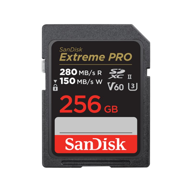SanDisk SDSDXEP-256G-GN4IN memoria flash 256 GB SDXC UHS-II Clase 10