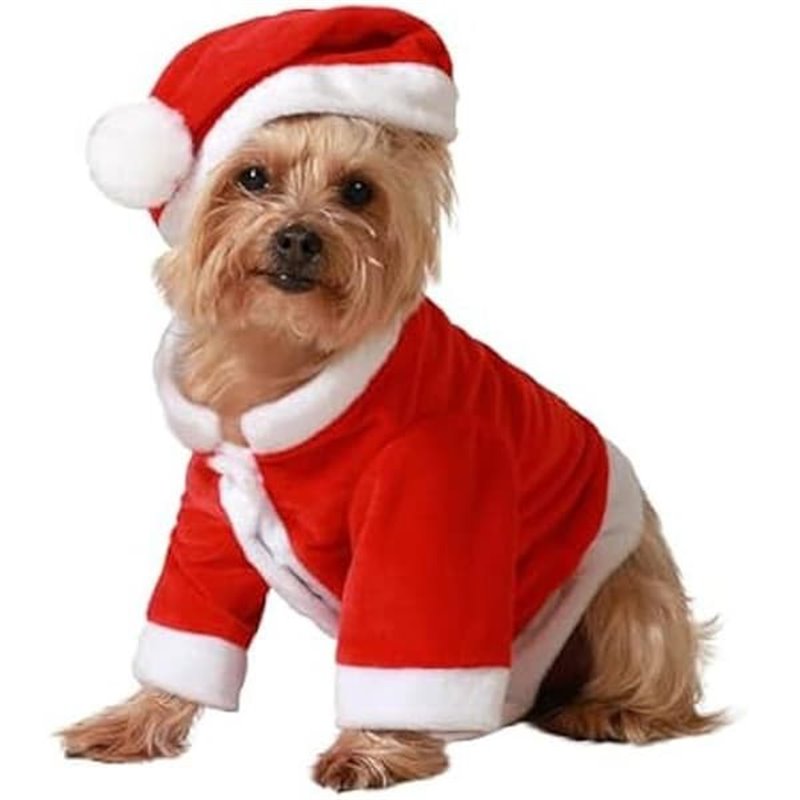 DISFRAZ MASCOTA PAPA NOEL