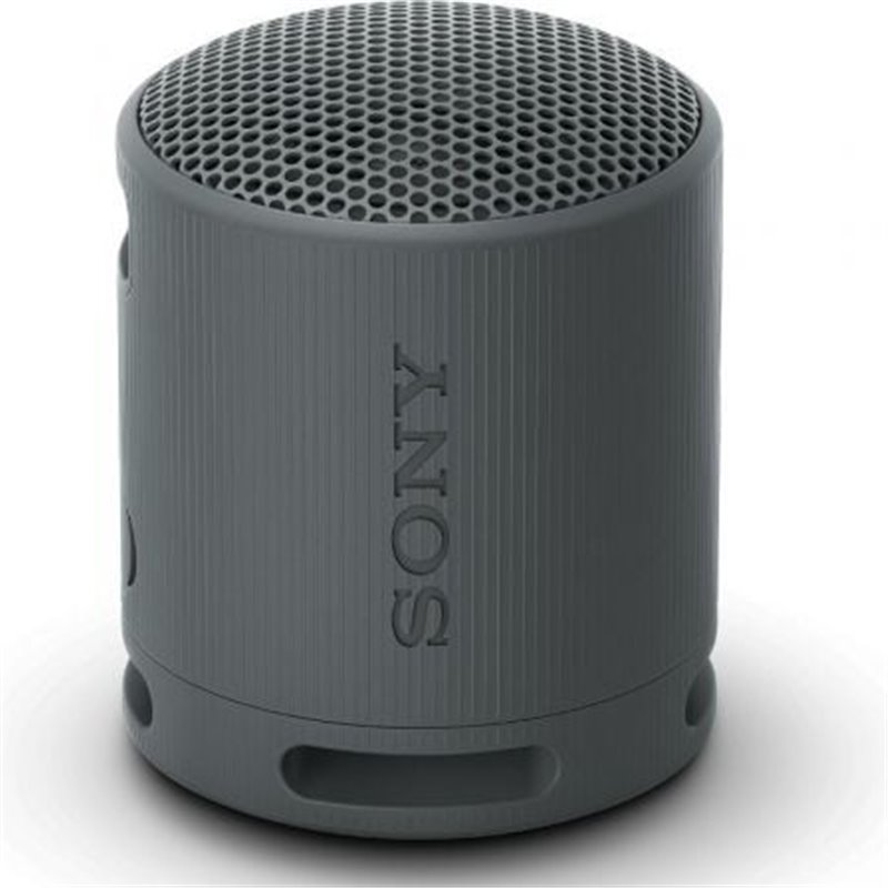 Altavoz Portable con Bluetooth Sony XB100/ 2.0/ Negro