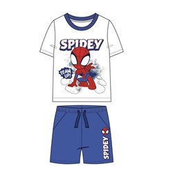 Conjunto Spidey and His Amazing Friends Marvel