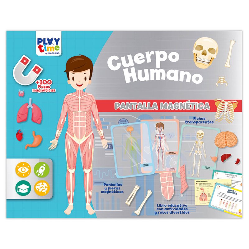 Pantalla Magnetica El Cuerpo Humano español