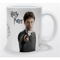 Taza Harry Potter