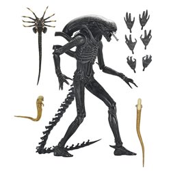 Figura Ultimate Xenomorph Alien: Romulus 18cm