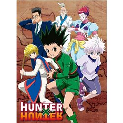 Puzzle Hunter x Hunter 500pzs