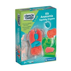 Kit Anatomia Squishy Organs