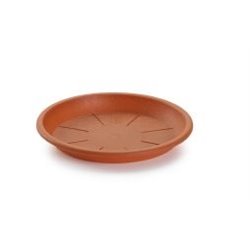 PLATO MACETA PLASTICFORTE