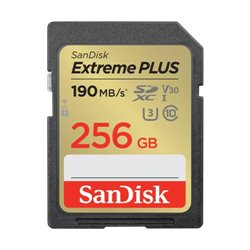 SanDisk SDSDXW2-256G-GNCIN 64 GB SDXC Clase 10