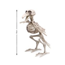 ESQUELETO 19X12 CM