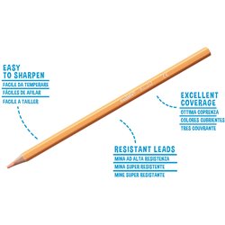 LAPICES DE COLORES PASTEL x 12