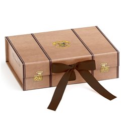 Caja regalo Maleta Harry Potter S